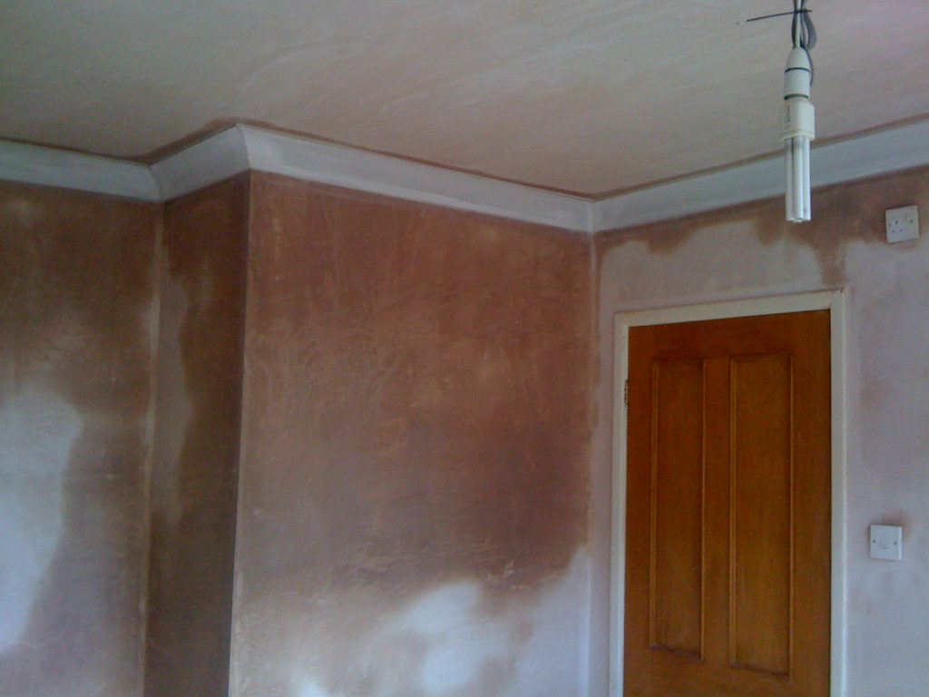 LJ Moylan Plastering Services