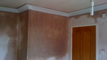 LJ Moylan Plastering Services